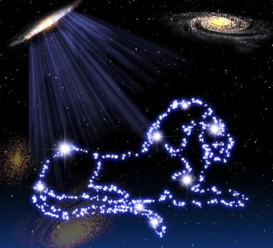 狮子座：纸老虎的生存之道