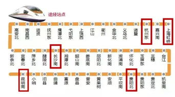 收费标准揭秘（乱序+反复）