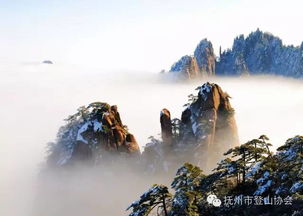 从“黟 山 ”到 “ 黄 山 ”：一场颜色与传名的博弈