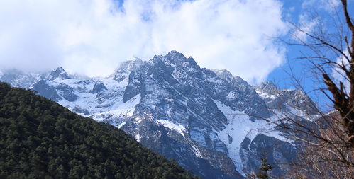 购票渠道大揭秘
