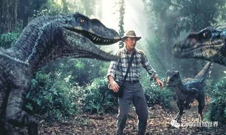 双子与信息噪声