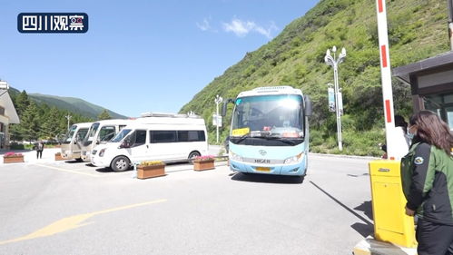 大巴才是yyds！自驾党都给我闭嘴