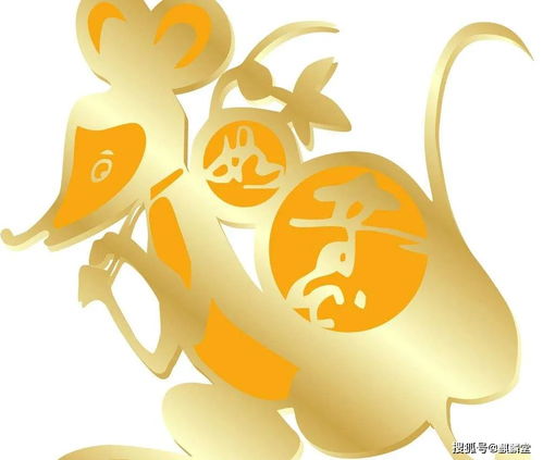 2026年属鼠五月运势及全年每月爱情运势具体如何？