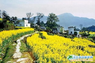 ② 高速上那段“4小时”——高速收费站、 加油站、以及不靠谱的导航语音