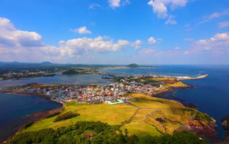 E. 城山日出峰—黎明时分抢先看「金黄色」油菜浪潮