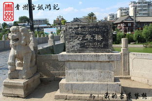 3. 青州古城民俗文化街——小吃与手工艺的大杂烩