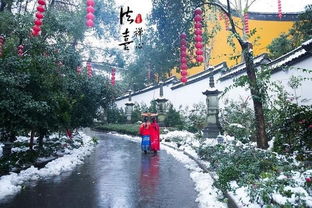 景点悲剧：西湖挤死 小众无聊死