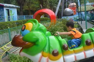 惯与食物：高价低质的餐食