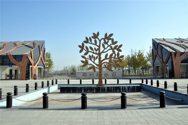 郑州植物园：百花园里乐翻天