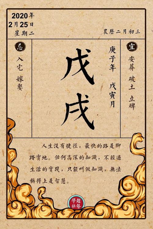 戊戌年庚申月,戊戌日庚申时生人的