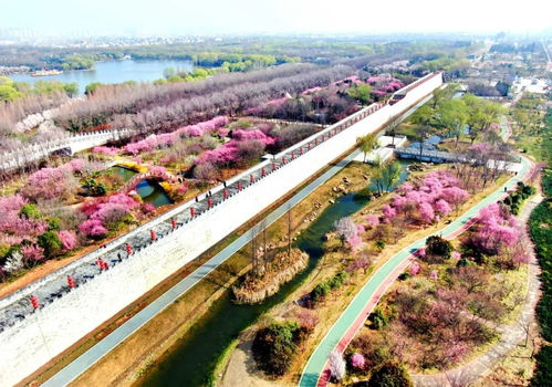第五站：隋唐洛阳城国家遗址公园