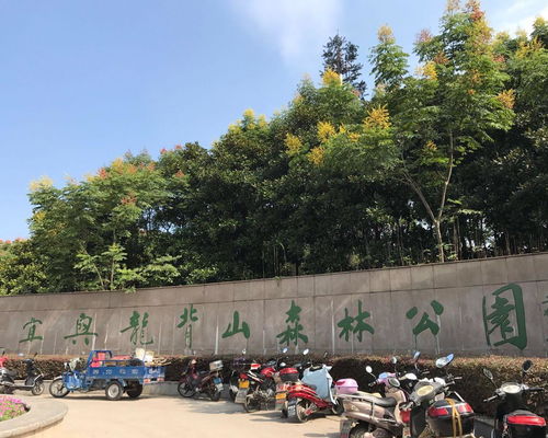 隐藏福利多到爆炸