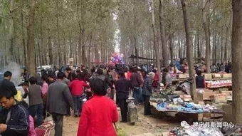 贵州苗族生死轮回：土葬文化传承揭秘，探寻苗族土葬奥秘！