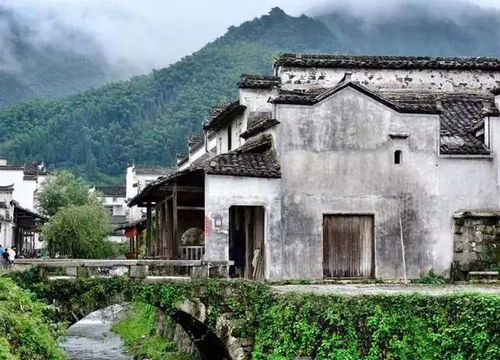 一、 踏进朱家沟，像是跌进时光的泥潭
