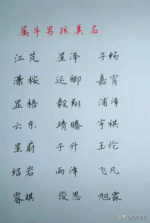 名字里藏着哪些神秘的魔法？