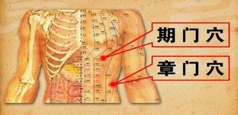 八字胸大如何影响命运，八字胸代表什么命运特征？