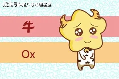 属牛和属猪：一对不太搭的组合