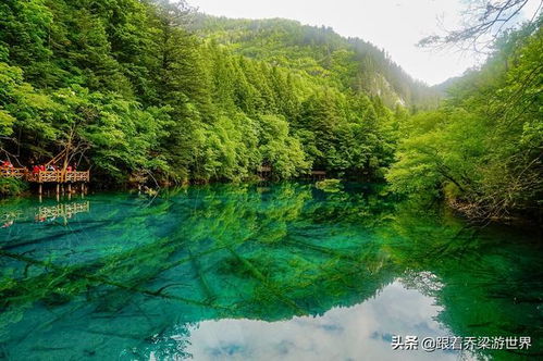 四、  九寨沟：童话世界的奇幻之旅