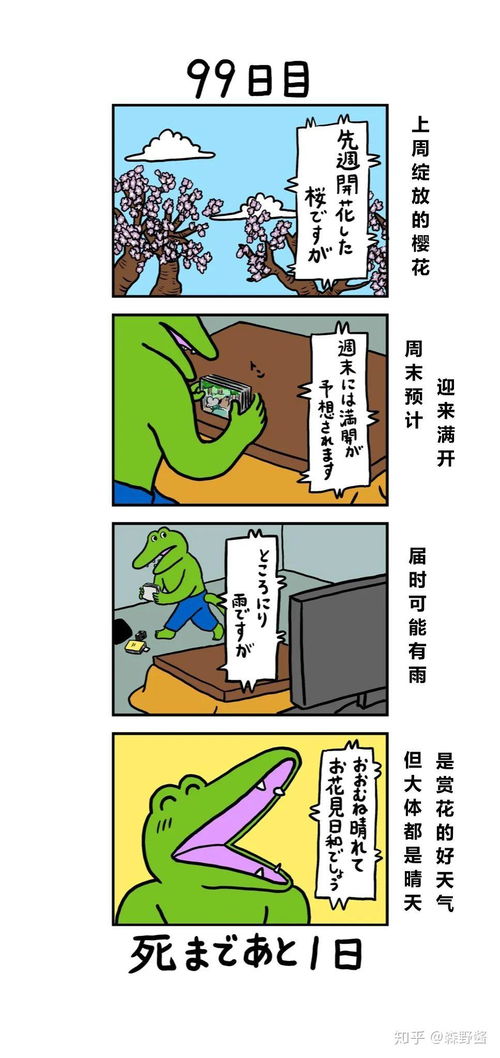 各地奇葩风俗大赏