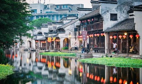 惯与那个什么“运动战自飞糯恐”