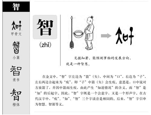 带智字的名字较大全
