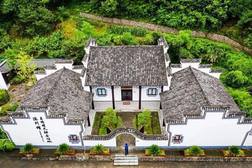 四、竹隐陈溪景区（免费）——竹子会说话？不一定！