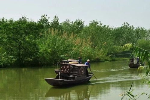 下午：溱湖湿地的疯狂探险模式开启
