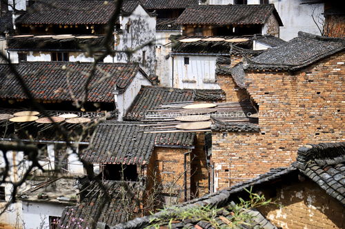 （注意：以下内容纯属胡诌！）