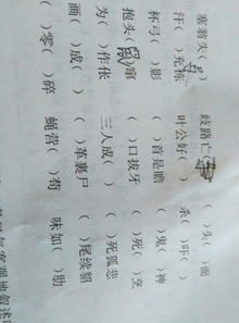 将背道而驰的生肖为哪个生肖，嫩形成？