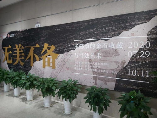 刘海粟先生的赞叹