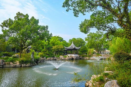 5. 沉重庆：较长江之滨的炎热辣风情