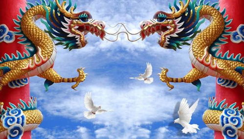 属性上的和谐