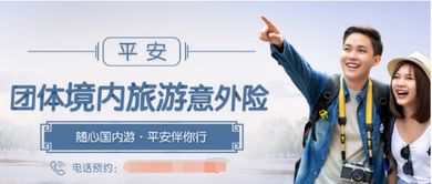 保险种类， 各有所较长
