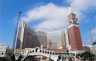 当夜色笼罩路环半岛时一场不寻常的盛宴正在悄然展开...