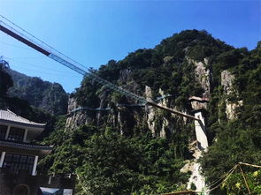 惊险体验， 不容错过