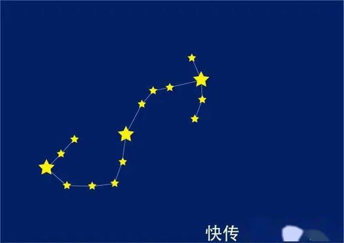 情感关系：欲擒故纵与依赖