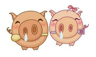 生肖配对准不准？算命先生都说不清！