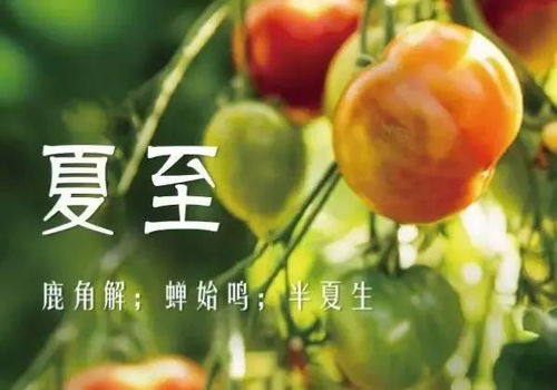 夏至：更离谱的消暑方式