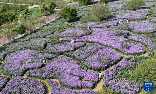 第四章：人文历史与生态旅游交叉口（碰撞产生火花）