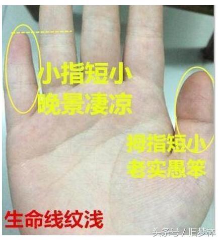 拇指厚实的人， 那是真的有福气