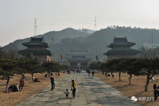 张三丰这老道可真会挑地方！玉虚宫那块地儿简直绝了