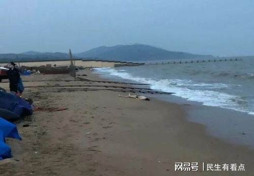 海的呼唤：一个男孩名字如海之宽广的旅程