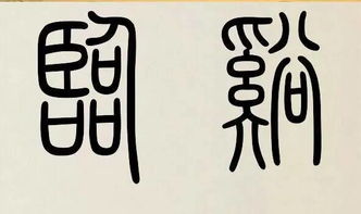震惊！石姓女娃取名居然藏着这么多不为人知的秘密