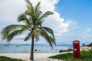 浪漫风情，邂逅美好时光