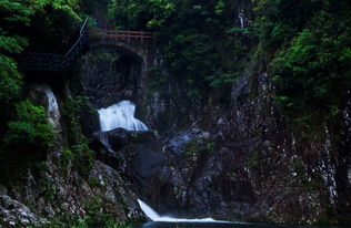 震惊！永嘉龙湾潭景区门票优惠竟然暗藏玄机？！