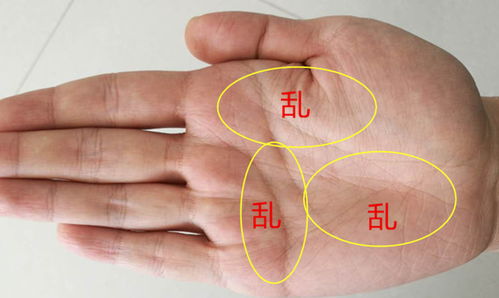二、不同位置的红色手纹代表哪些？