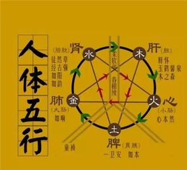 五行堂养生馆怎么样,五行堂说风水准吗是真的吗