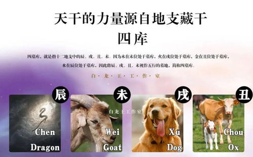 【暴风哭泣】为什么我的补财库总是失败？