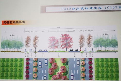 实用信息汇总