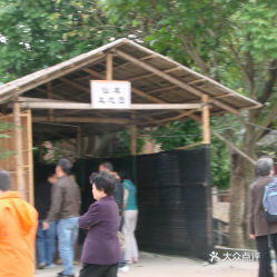 住宿推荐——草棚、帐篷、甚至树屋者阝行！